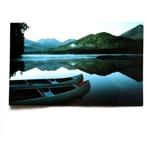 An Acid Rain Tragedy Postcard Unposted